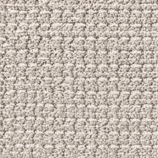 BZ1063 colour 02 · Oat