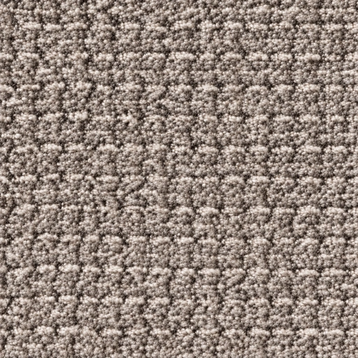 BZ1063 colour 03 · Mushroom