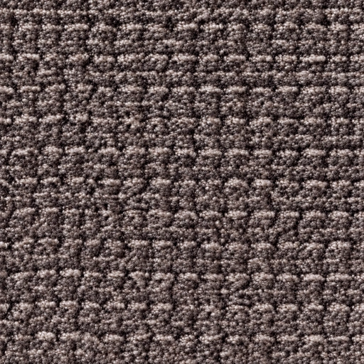 BZ1063 colour 04 · Mocha