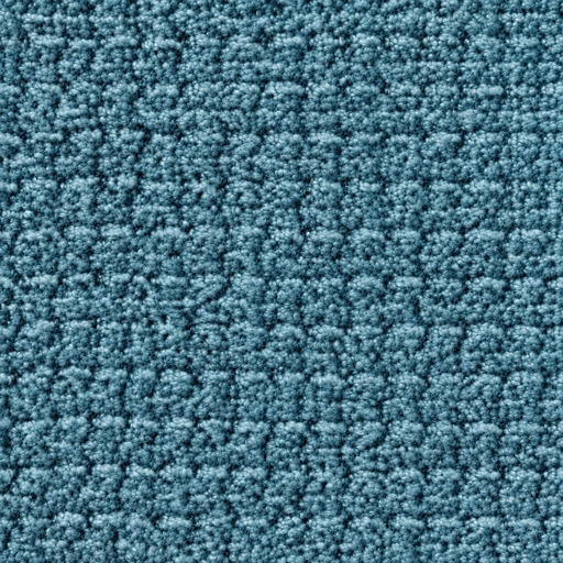 BZ1063 colour 13 · Teal