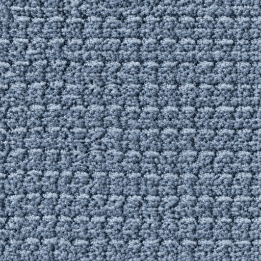BZ1063 colour 14 · Slate Blue