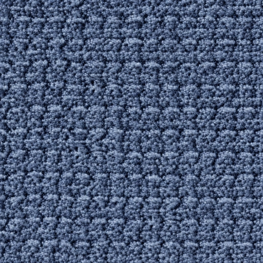 BZ1063 colour 15 · Navy