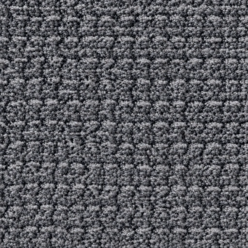 BZ1063 colour 20 · Charcoal