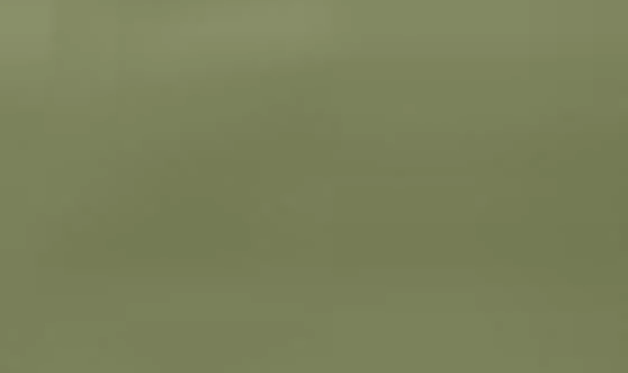 PRINTED-DECORATIVE colour 32 · Muted Green Solid