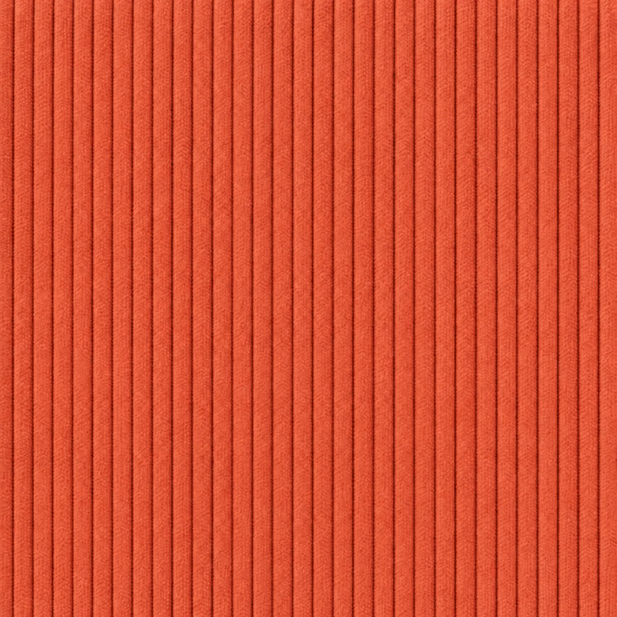 2453 colour 19 · Coral Orange