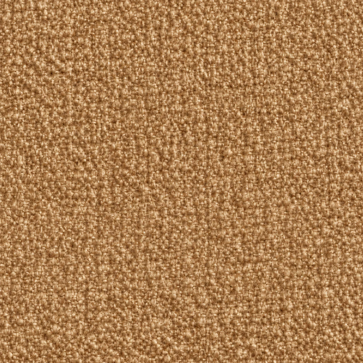 2531 colour 05 · Camel