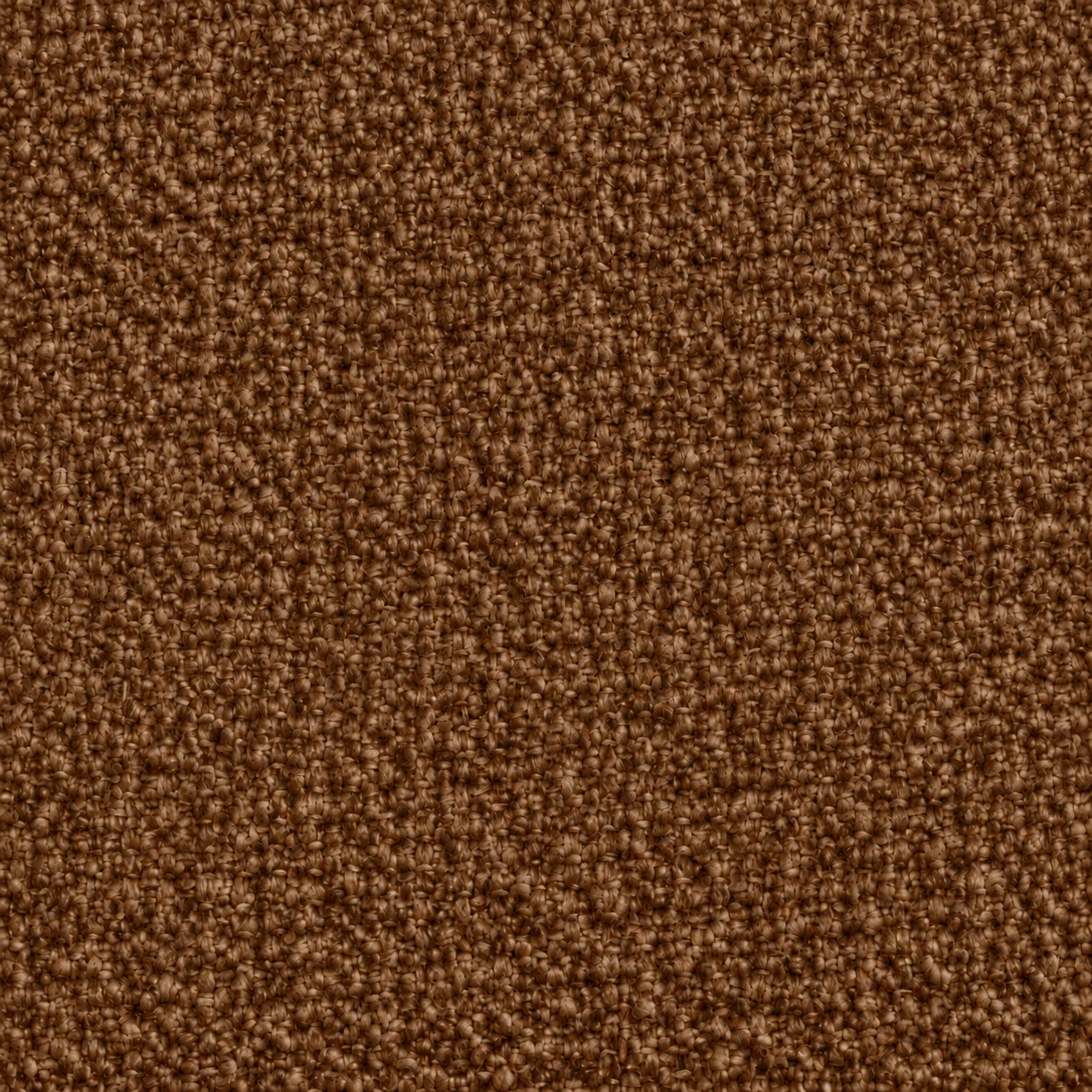2531 colour 06 · Chocolate Brown