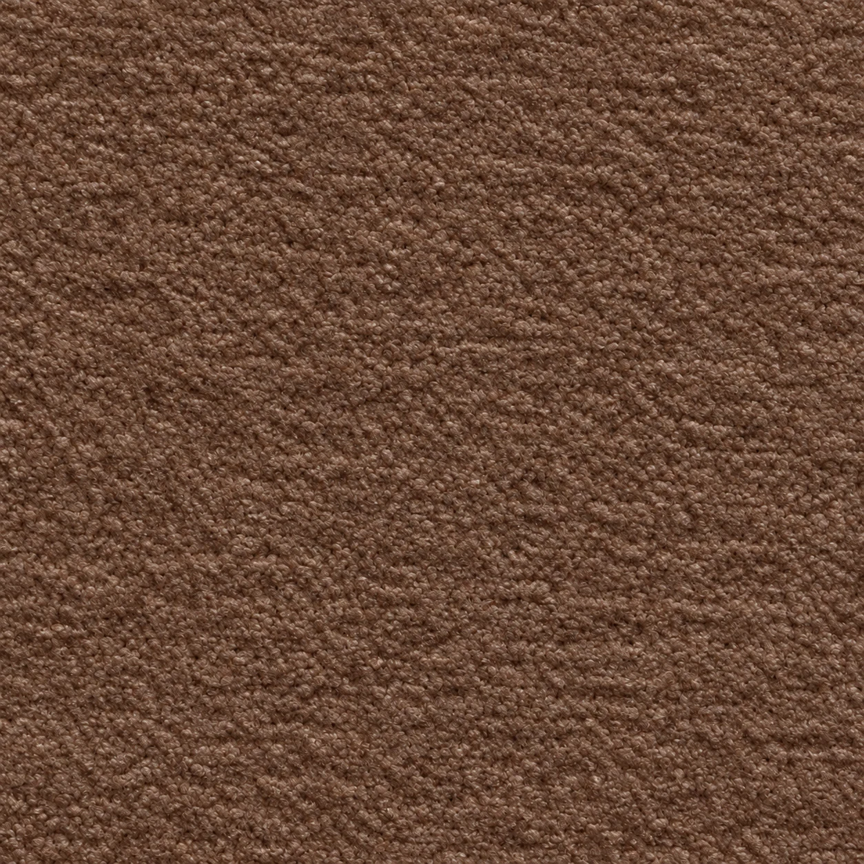 3207 colour 05 · Chocolate Brown
