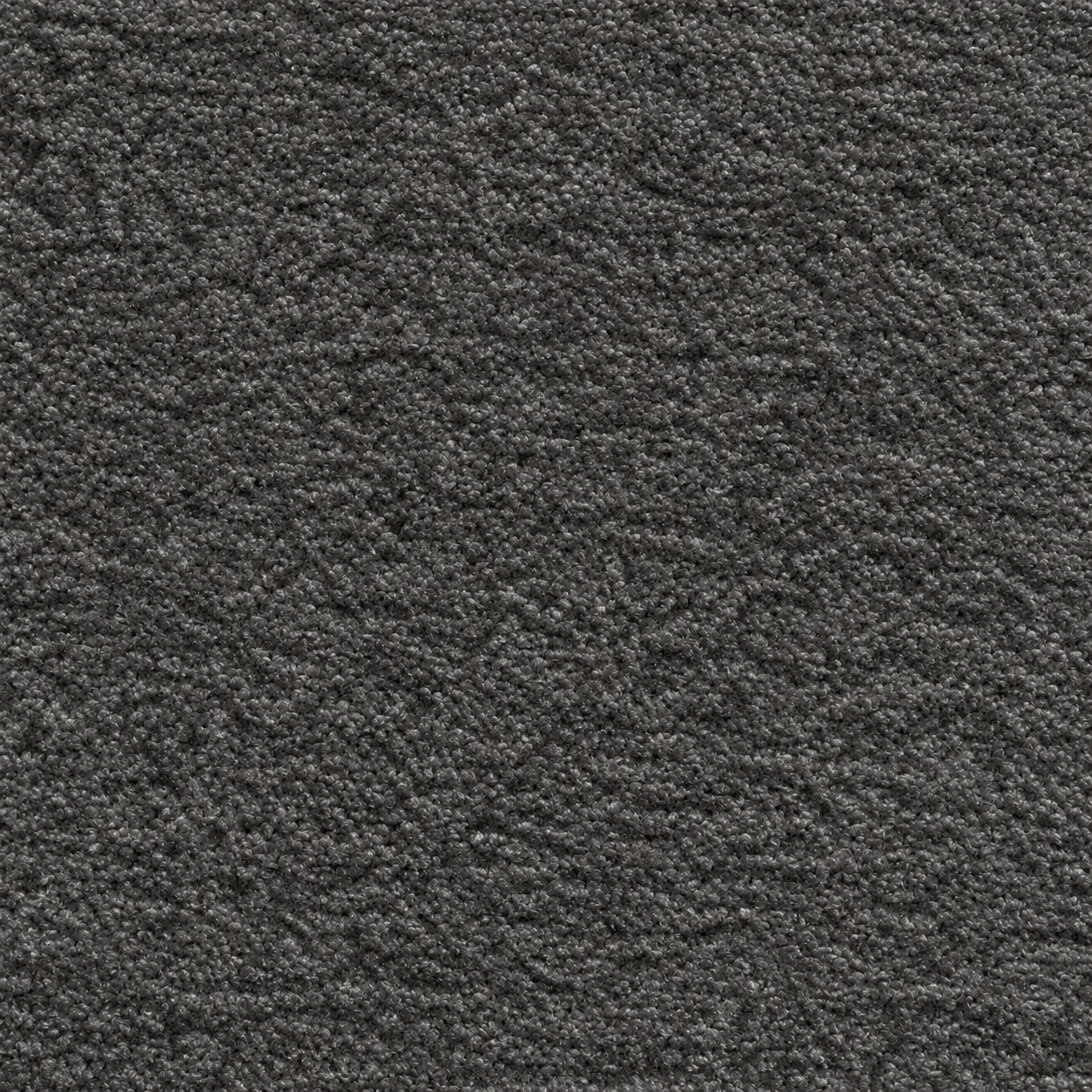 3207 colour 24 · Dark Grey