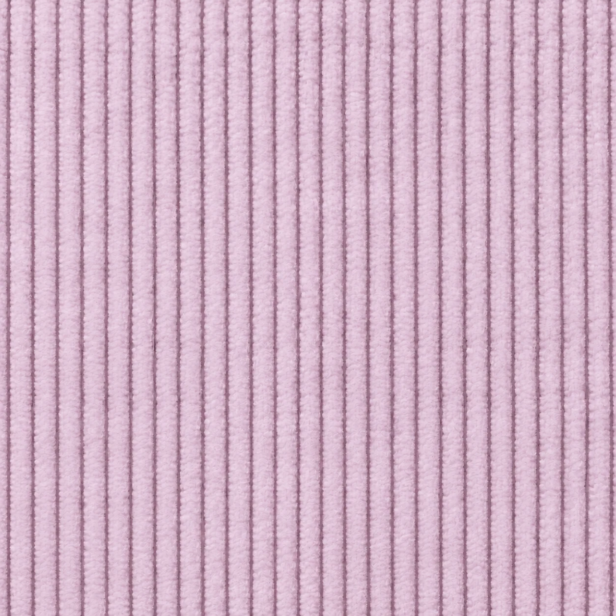 8 colour 10 · Pale Rose