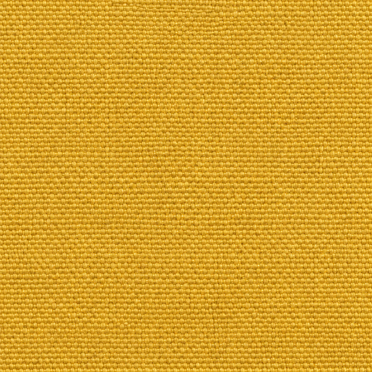 LVZ1102 colour 08 · Golden Mustard
