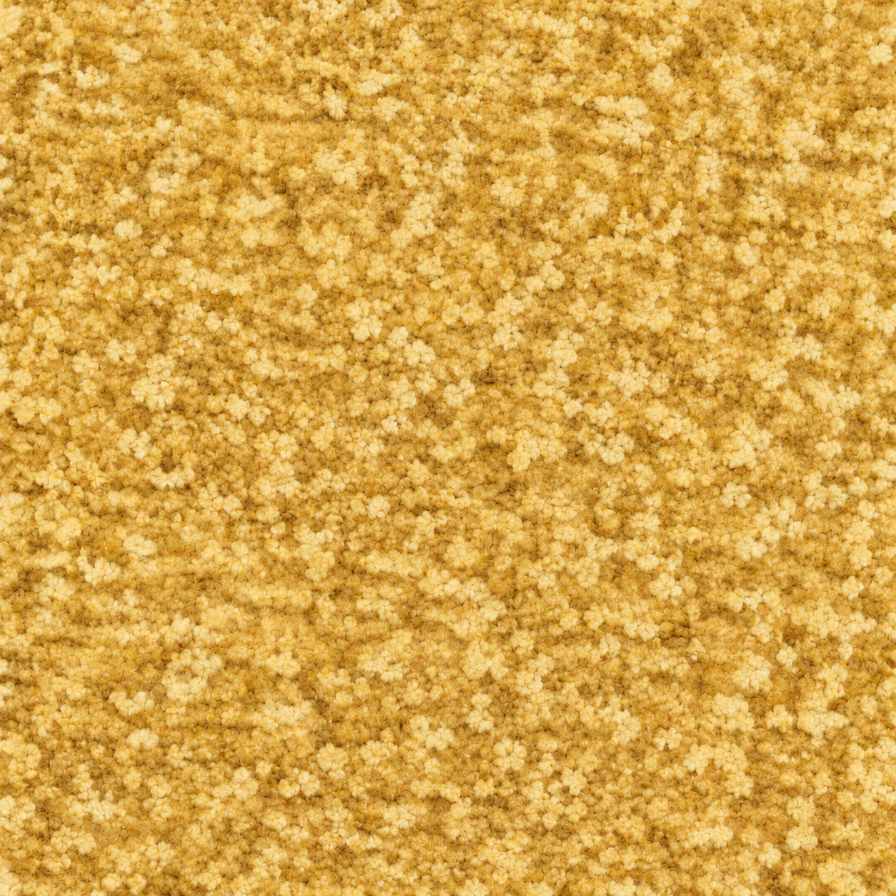 S648 colour 07 · Golden Ochre