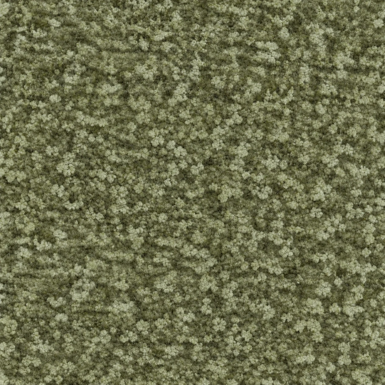S648 colour 10 · Olive