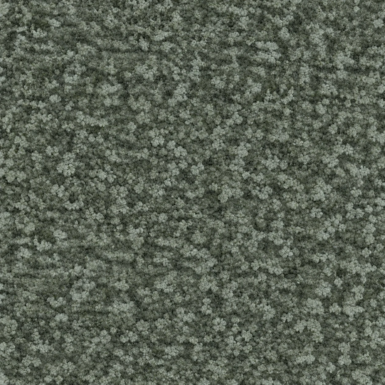 S648 colour 12 · Forest Grey