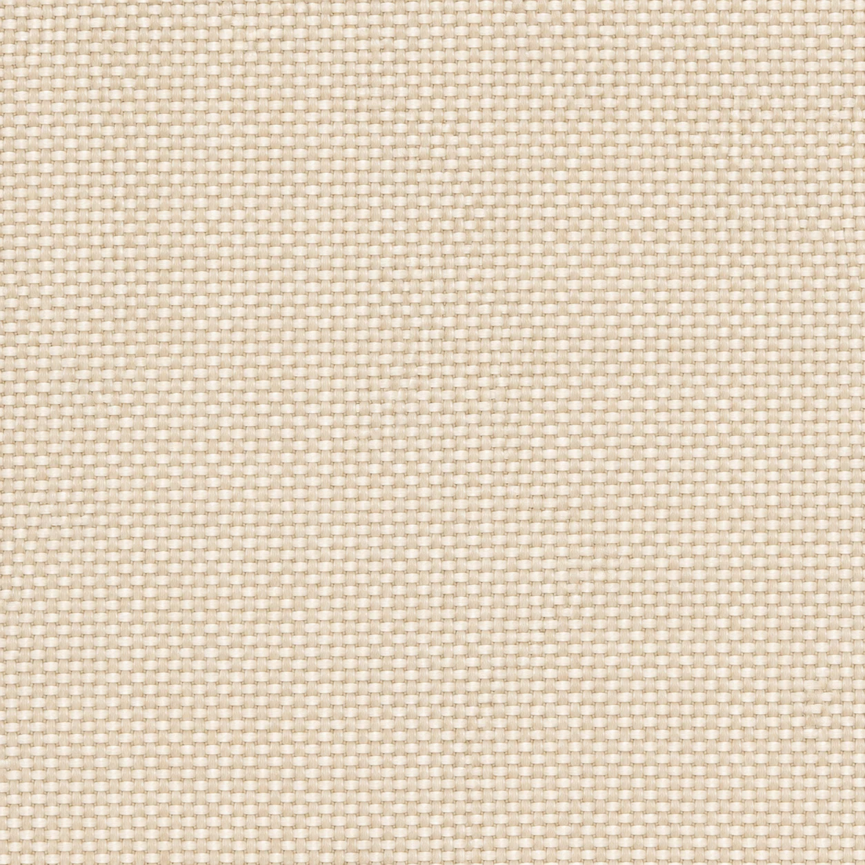 2436 colour 01 · Warm Ivory Beige
