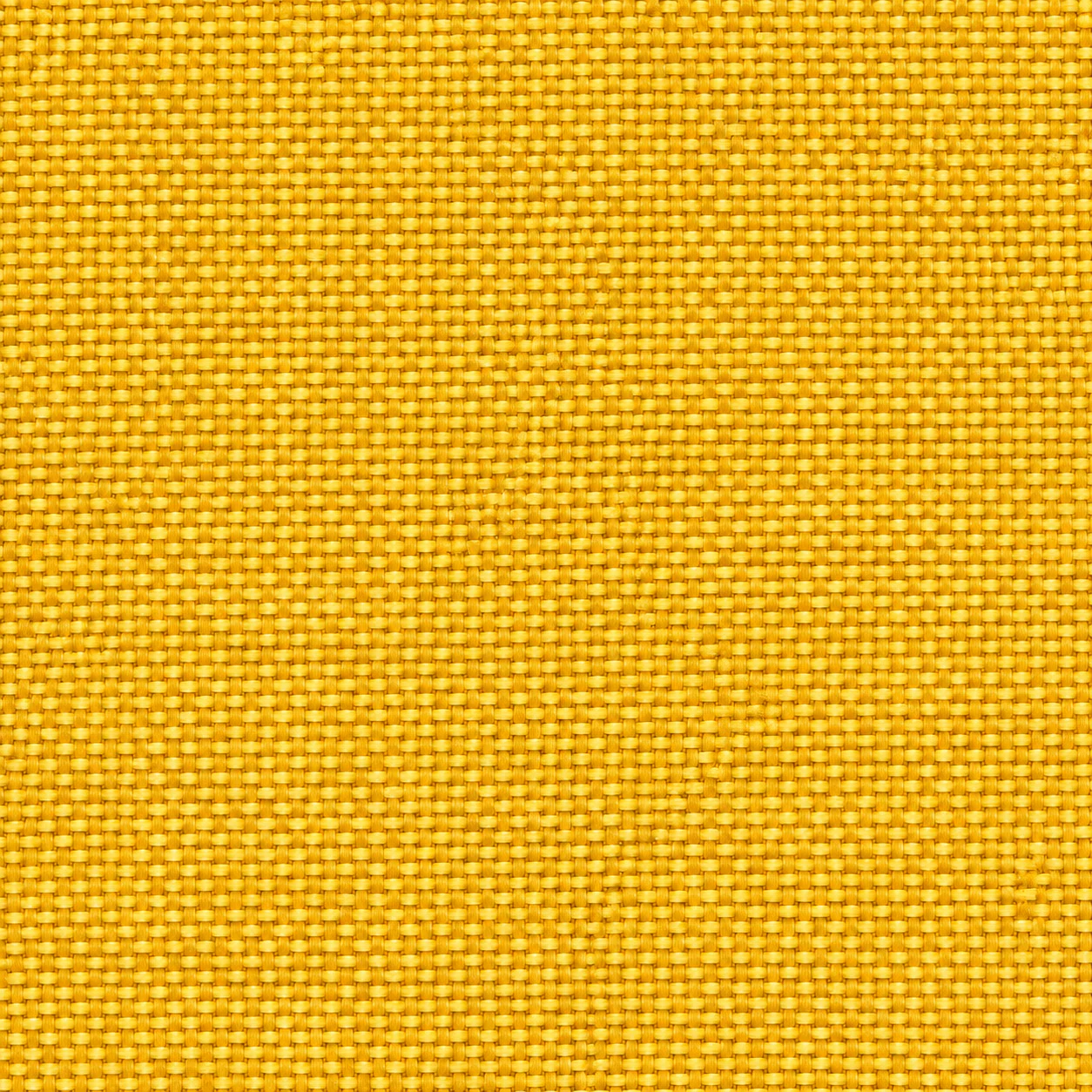 2436 colour 07 · Golden Yellow