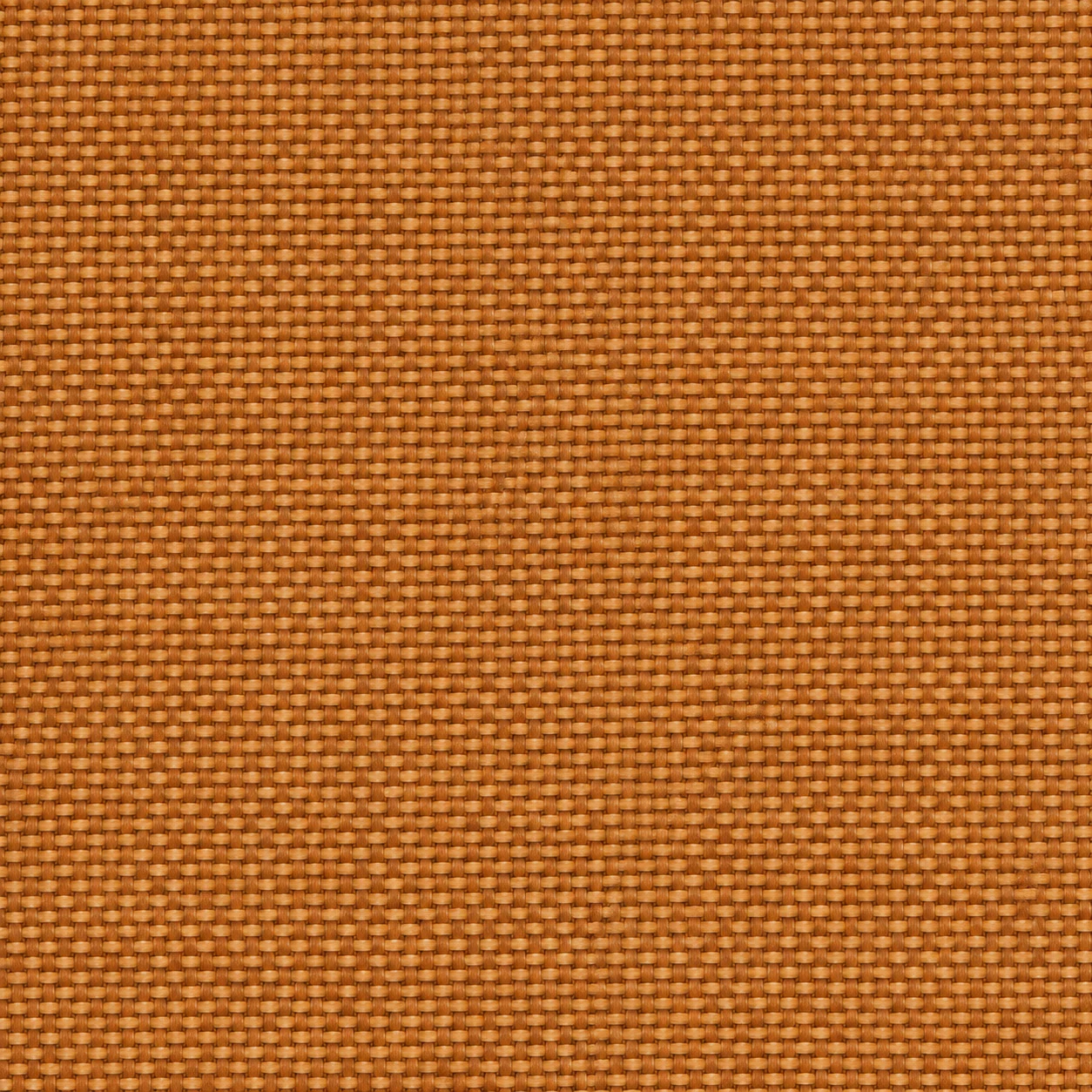 2436 colour 08 · Golden Ochre