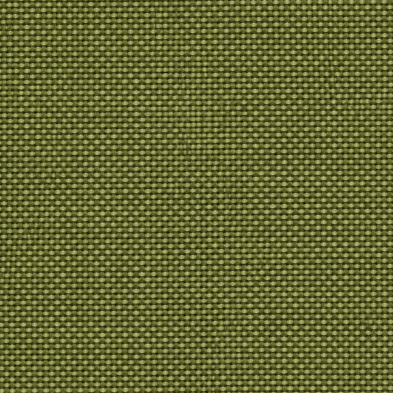 2436 colour 13 · Olive Green