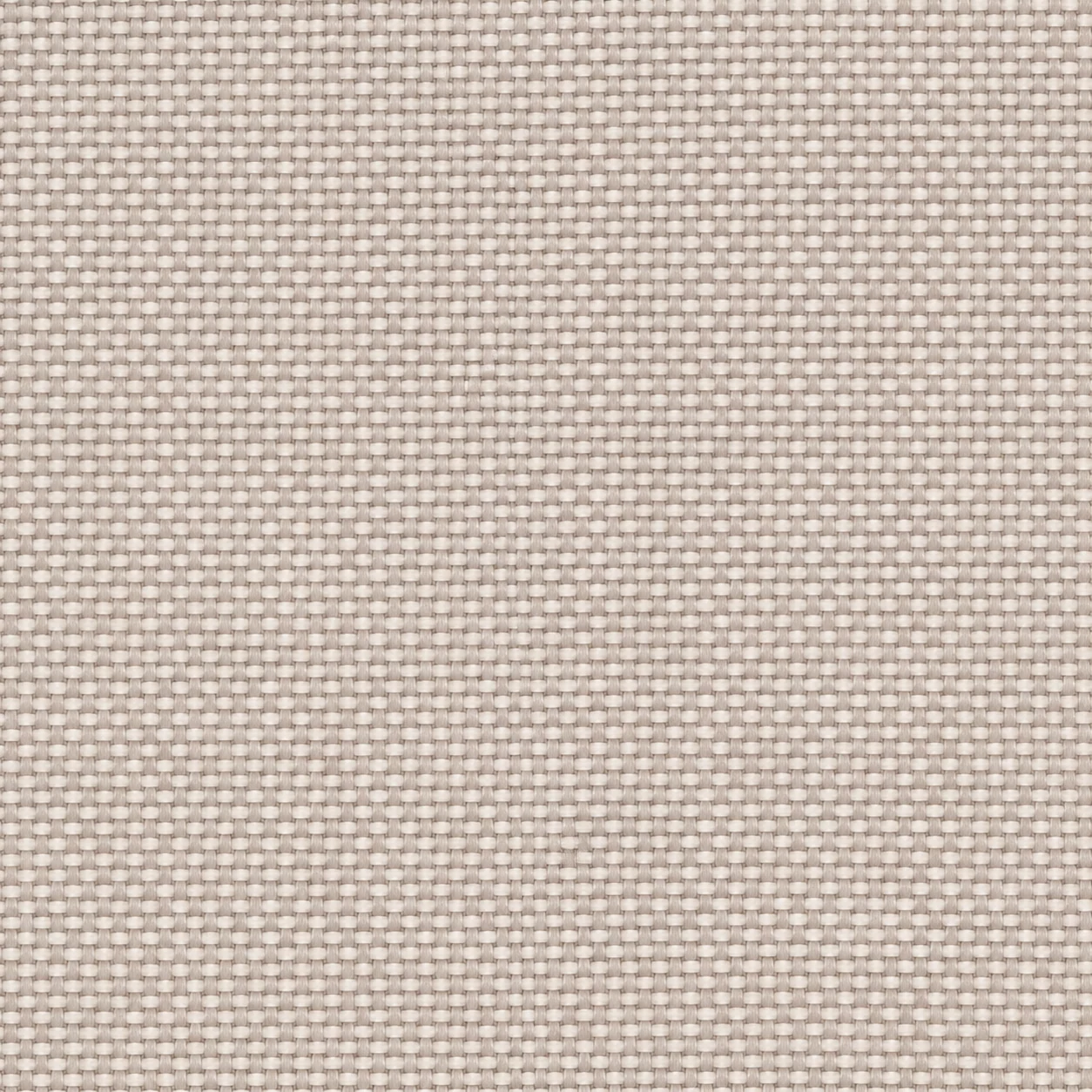 2436 colour 15 · Warm Ivory Grey