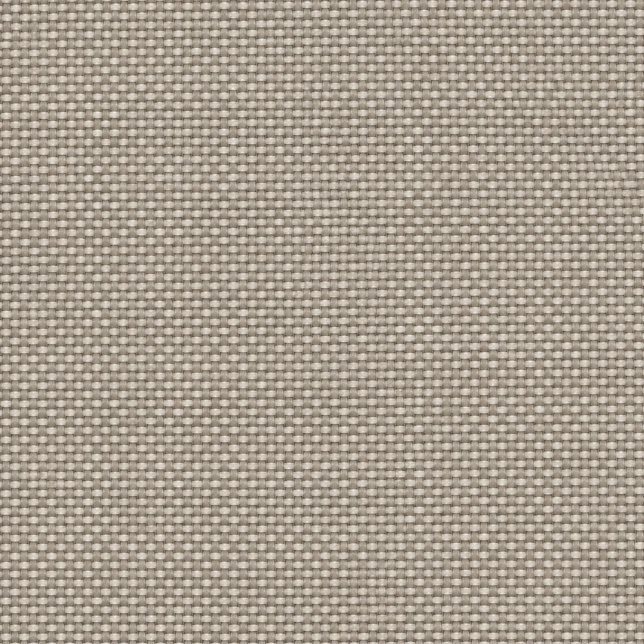 2436 colour 19 · Warm Stone Grey