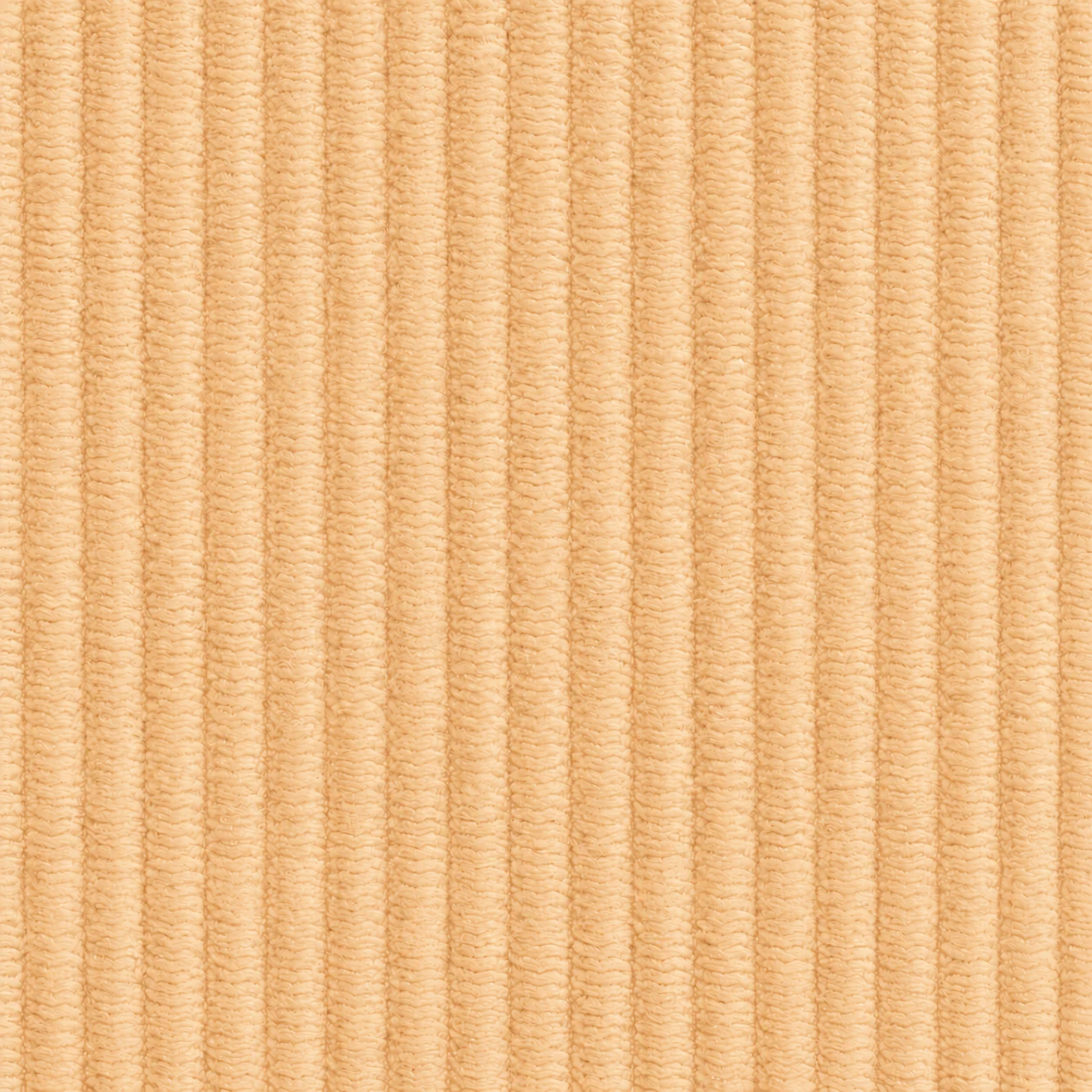 WC-RIB-6780 colour 10 · Light Apricot