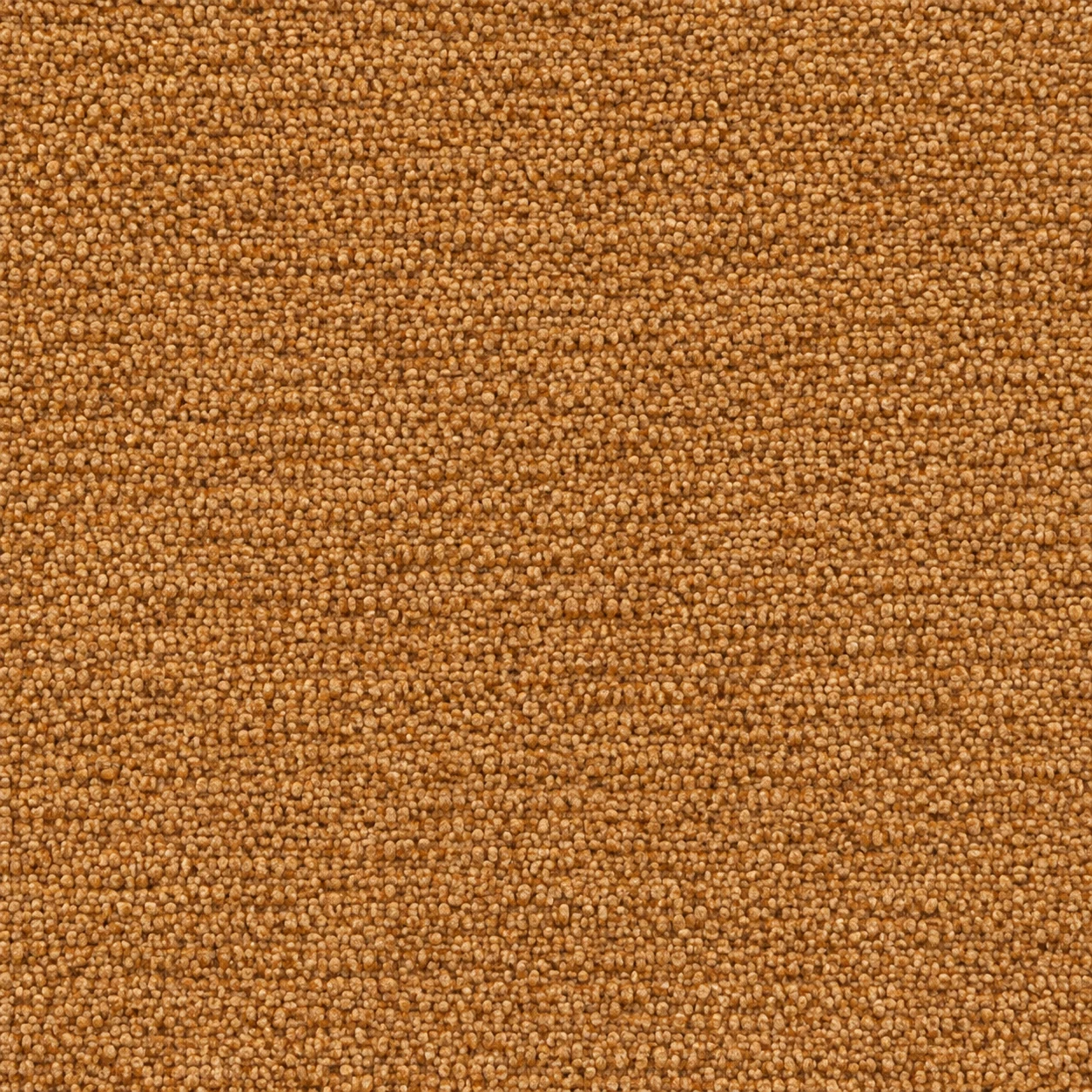 S640 colour 05 · Camel