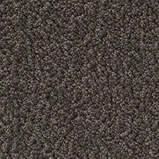 S651 colour 06 · Charcoal