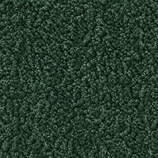S651 colour 11 · Forest Green